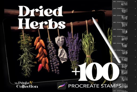 100 Procreate Dried Herbs Stamps: A Natural Touch for Digital Artists